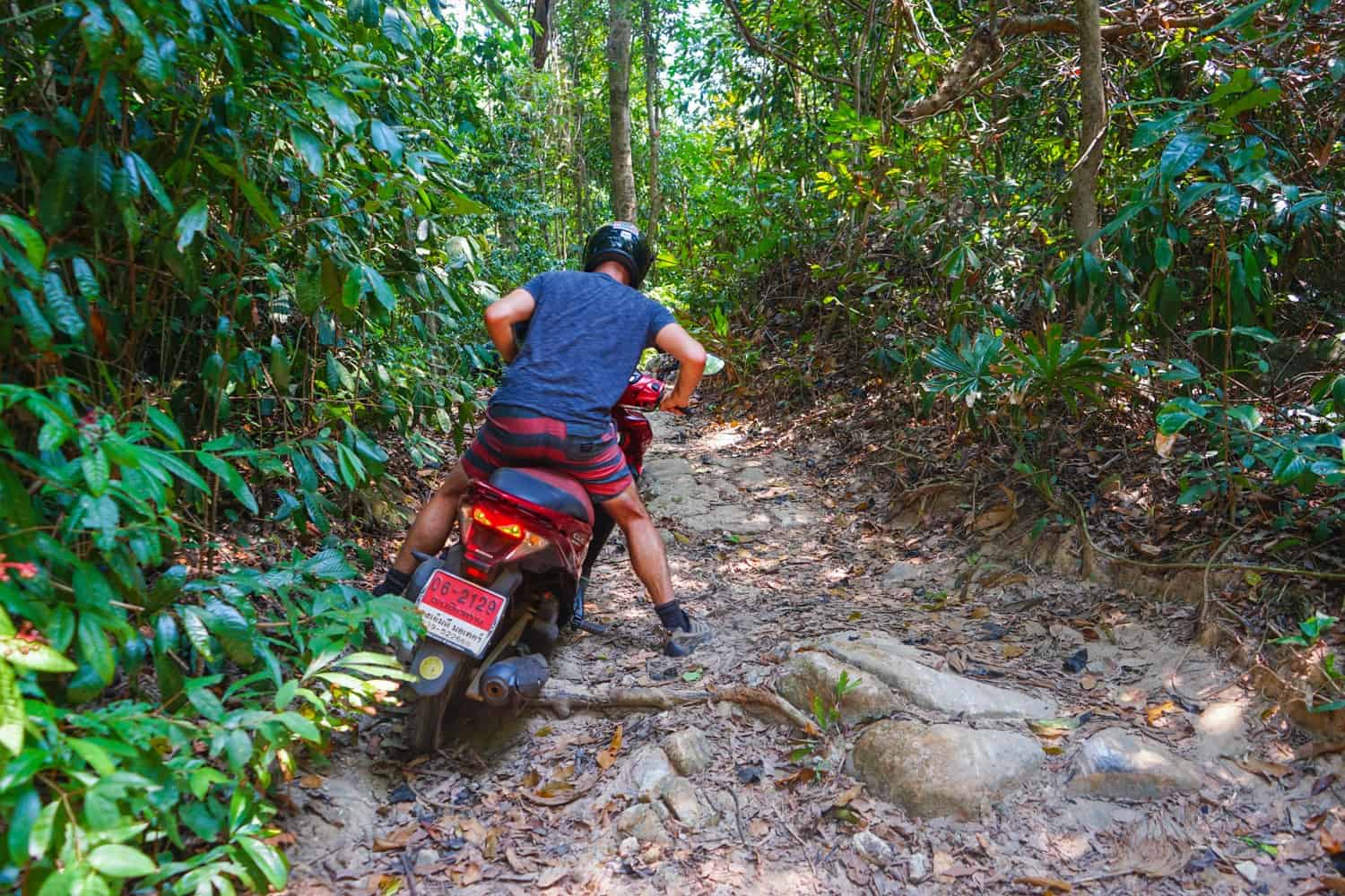 Scooter riding over tree root