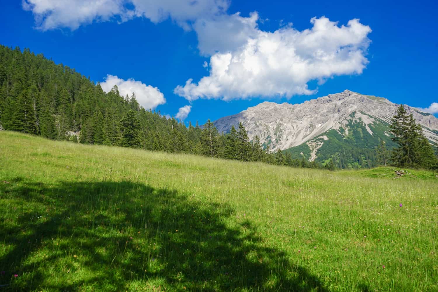 Grass and mountain outside Malbun