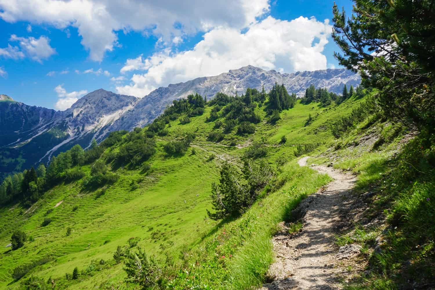 Hiking track in Liechtenstein