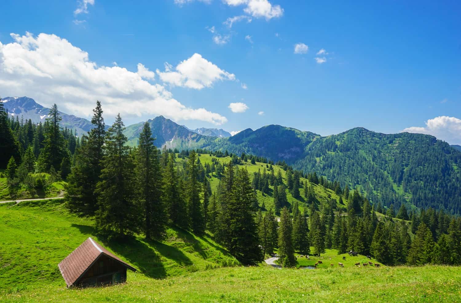 Hills and houses in Liechtenstein