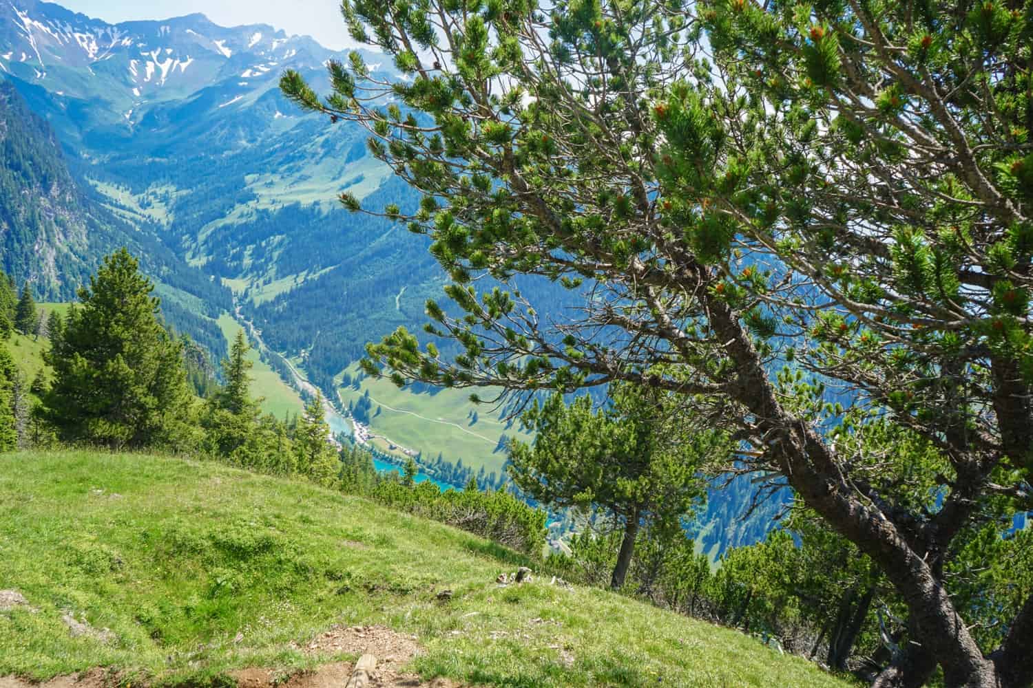 Steep drop in Liechtenstein