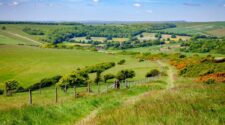 South Downs Way