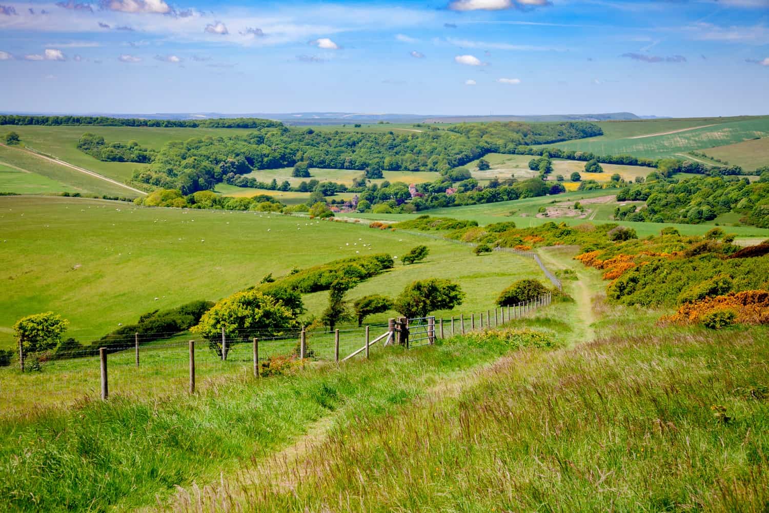 South Downs Way