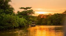 Sunset in the Borneo rainforest