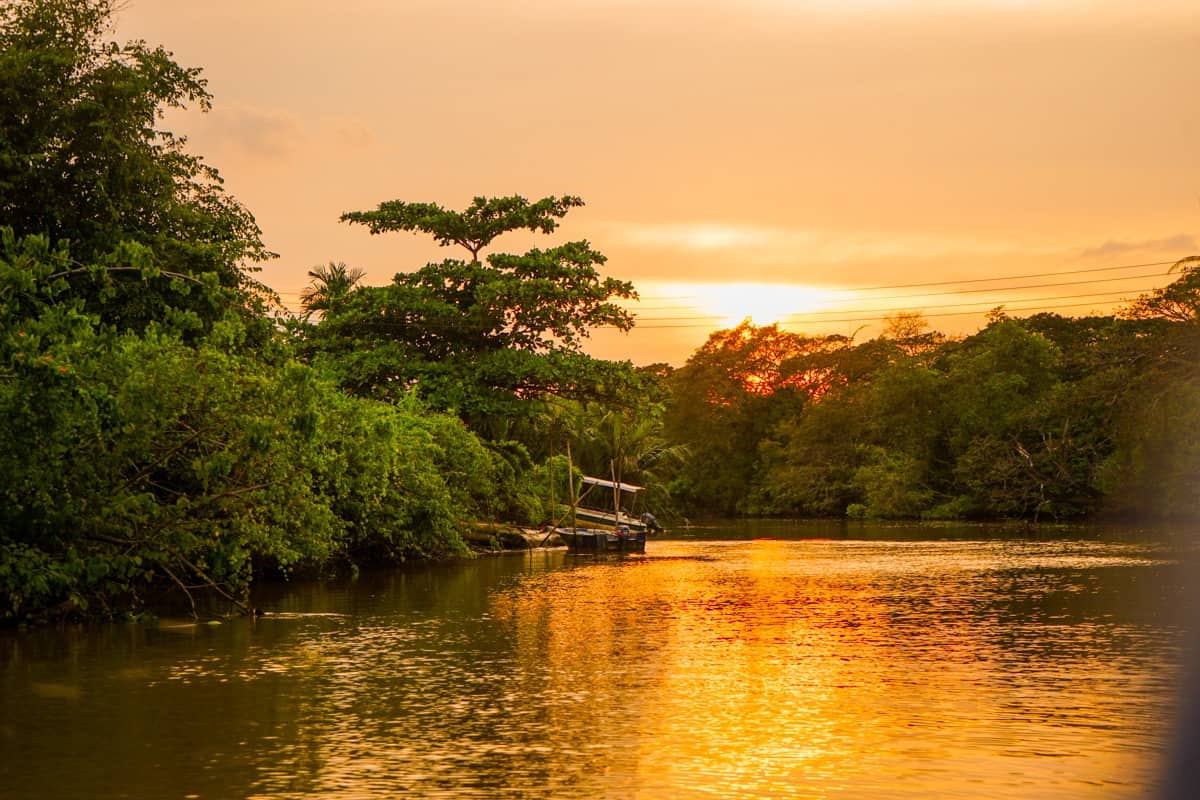 Sunset in the Borneo rainforest