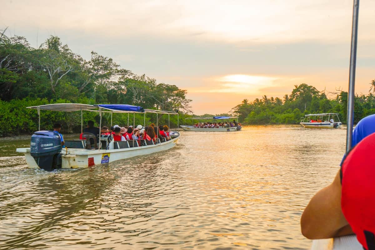 Tour boats on the river in Borneo