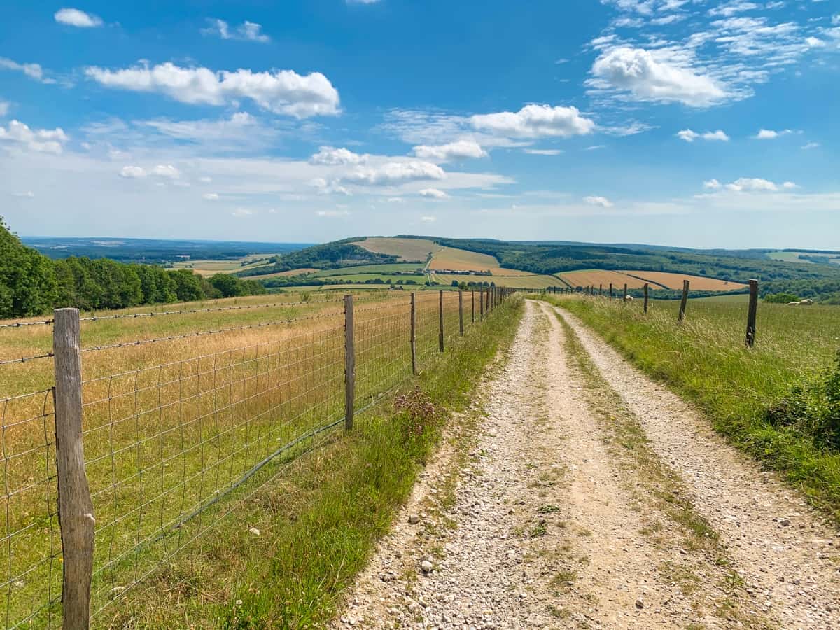 South Downs Way trail