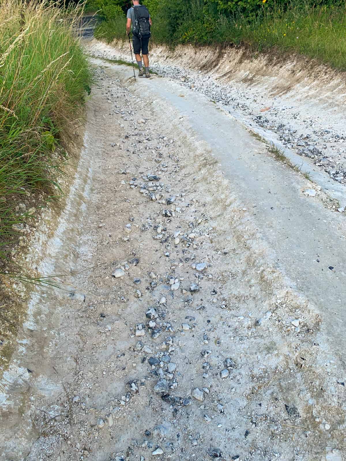 Track surface on the South Downs Way