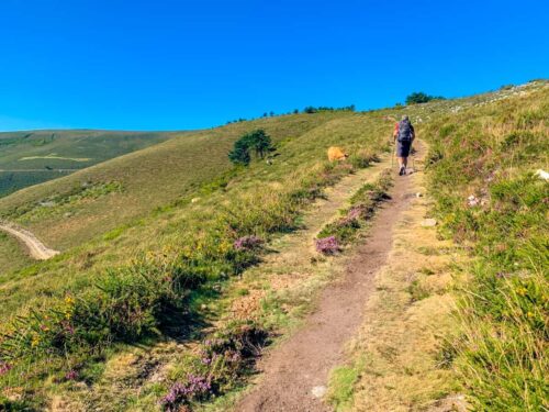 Camino walker on the Hospitales track