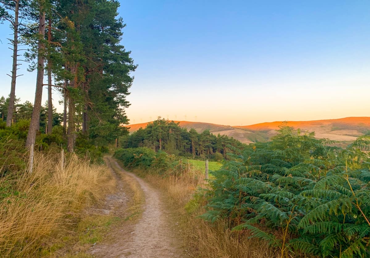 Path on the Camino Primitivo