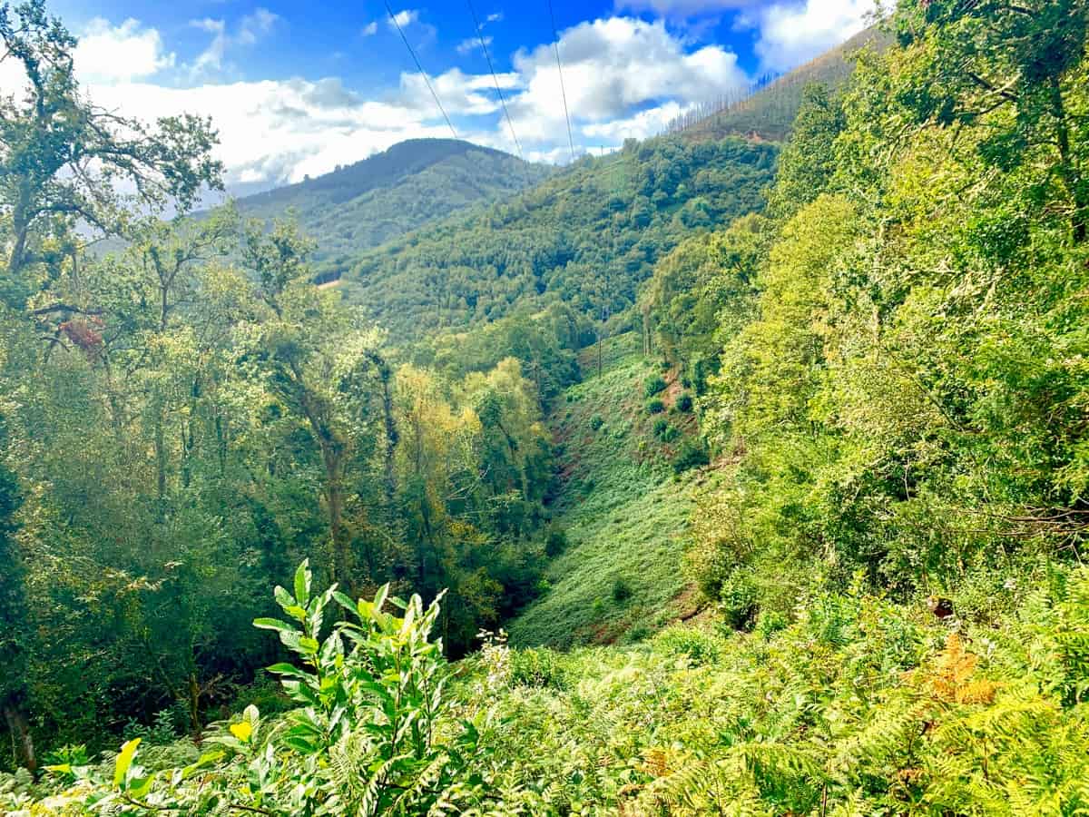 Scenery on the Camino Primitivo