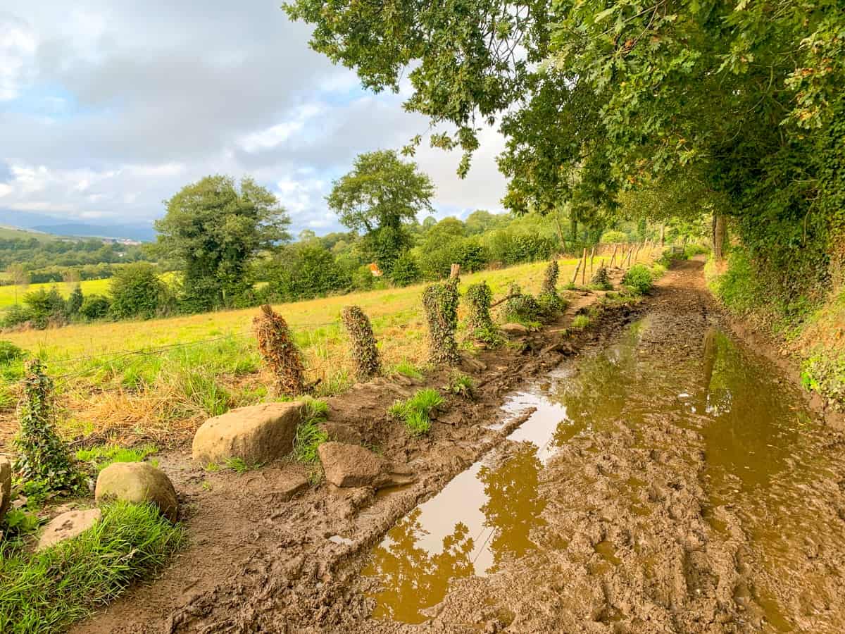 Wet mud on the Camino Primitivo