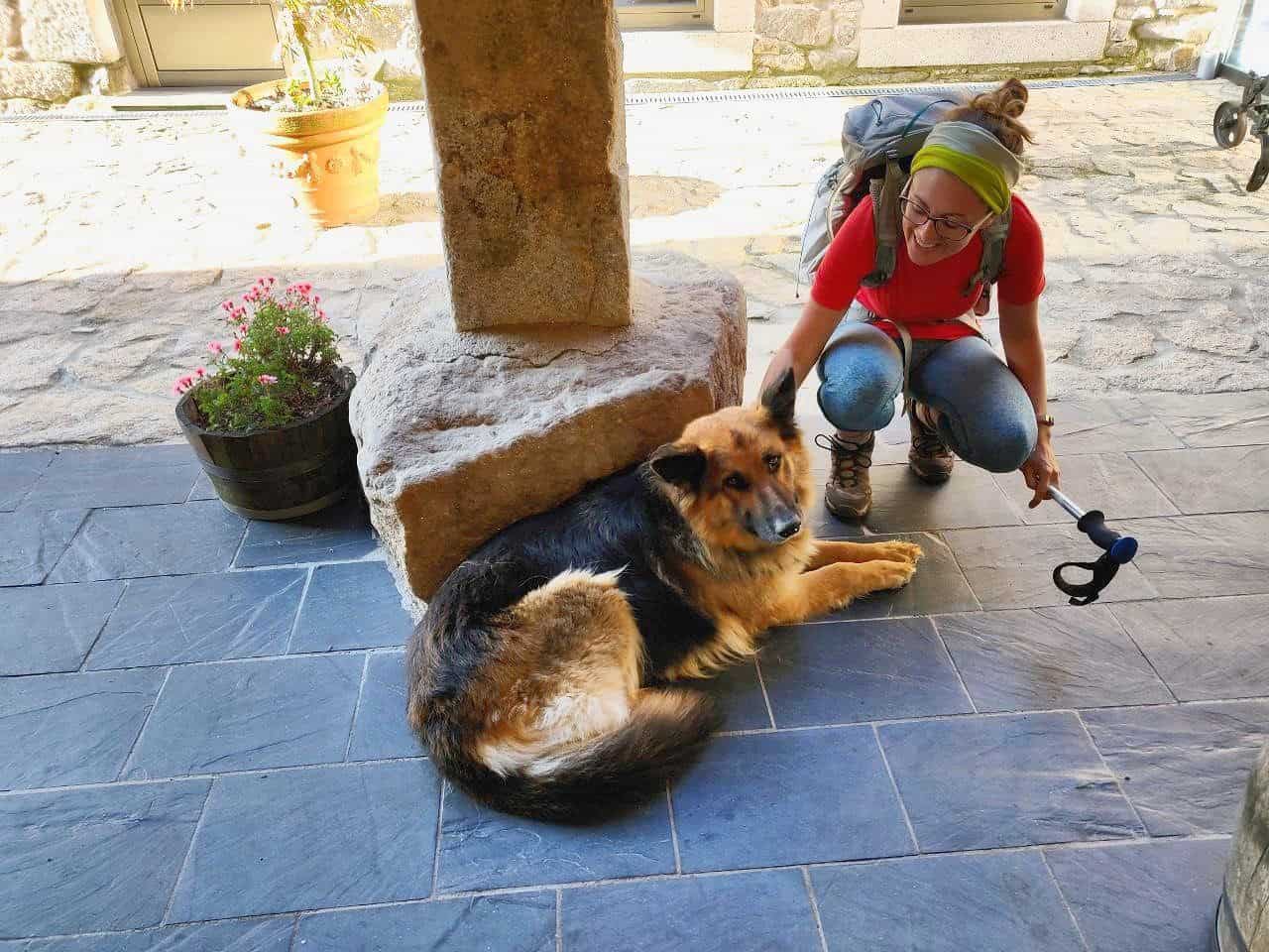 girl with dog on the camino