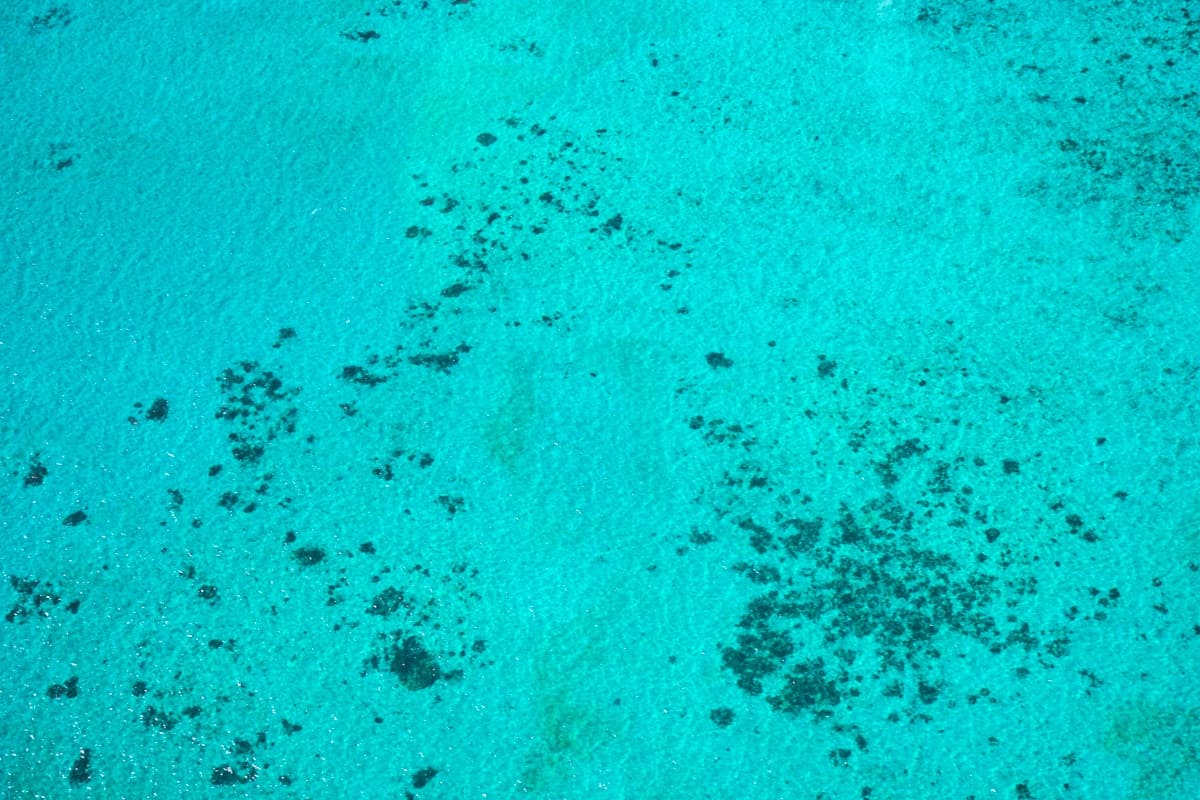 Great barrier reef from a scenic flight