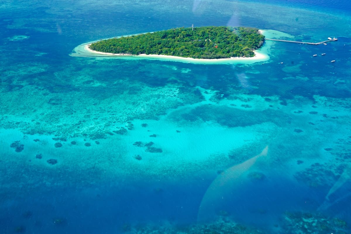 Island at the great barrier reef