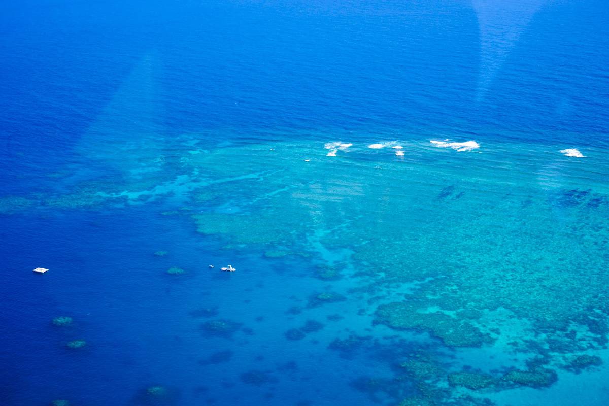 Liveaboard boats on the great barrier reef