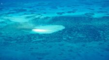 Sandbank on Great Barrier Reef