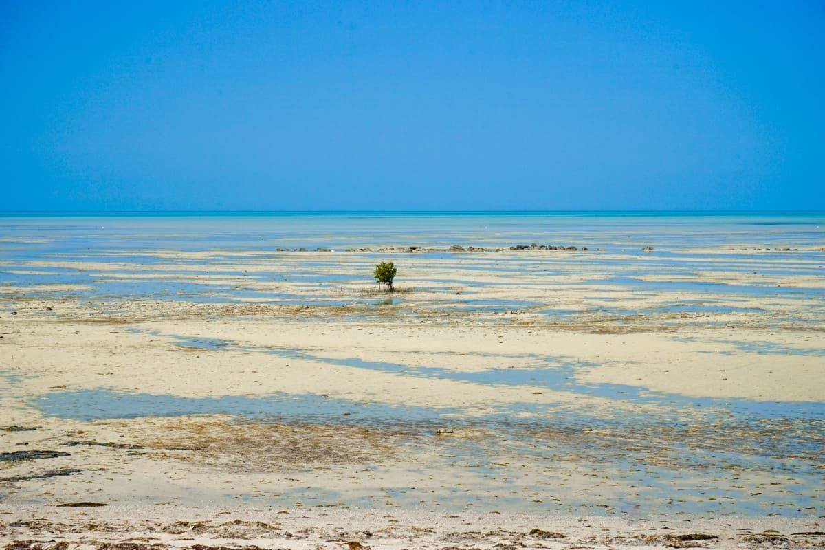 Sea in Qatar