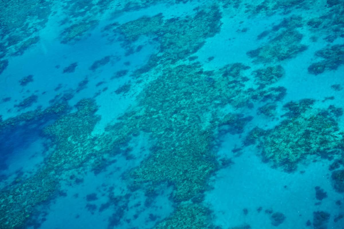 colours of the great barrier reef