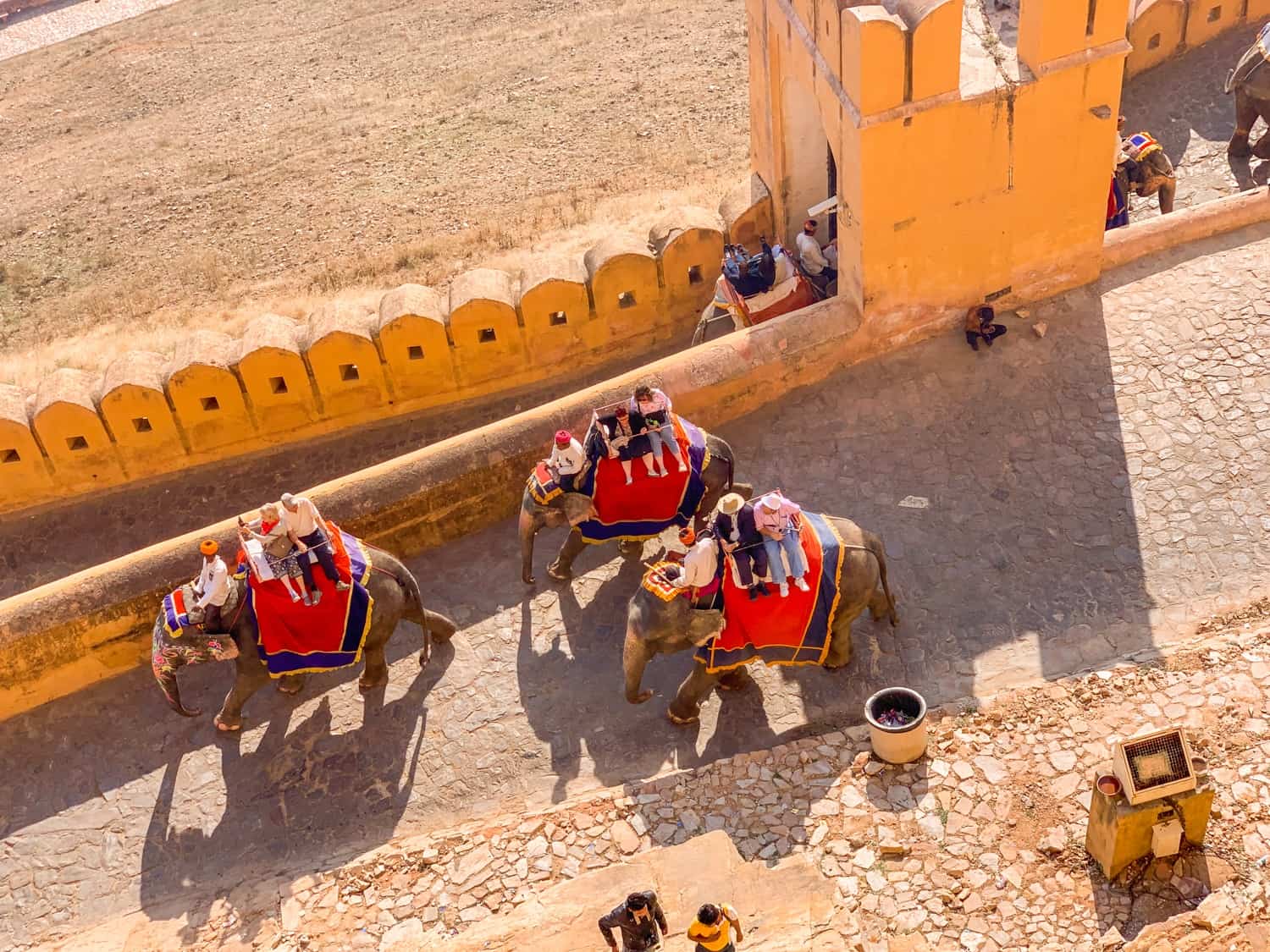 elephant riding at amber fort