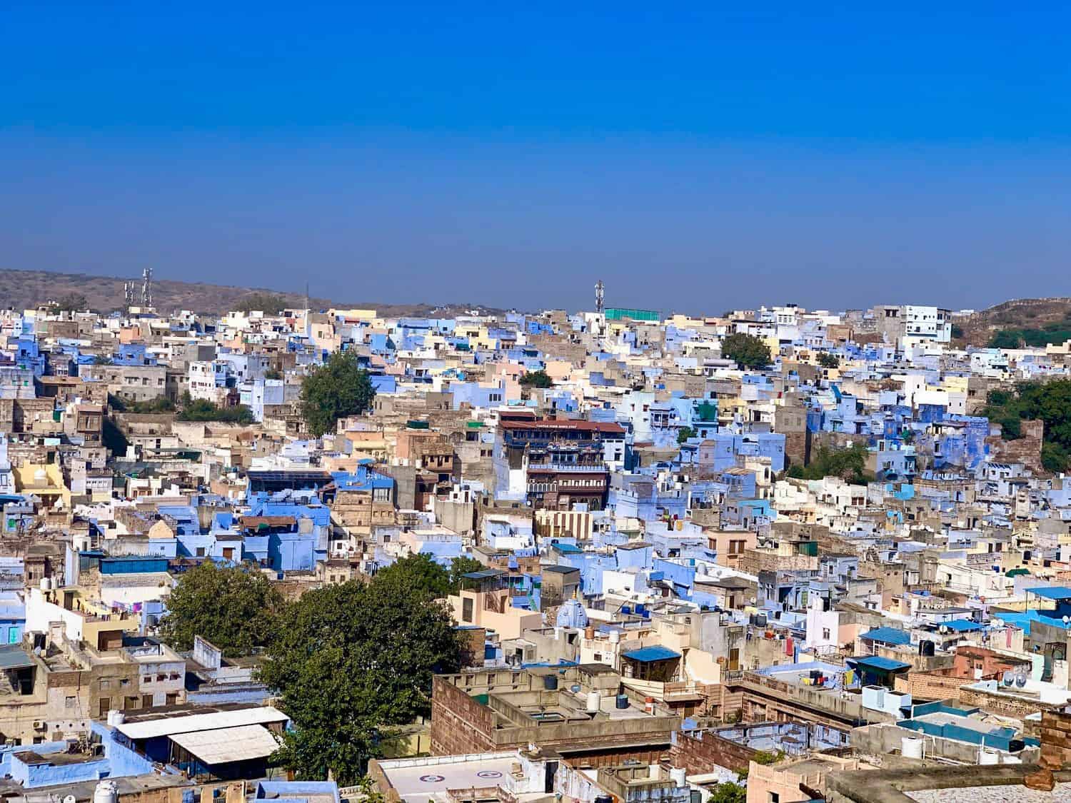 Blue buildings of Jodhpur from above
