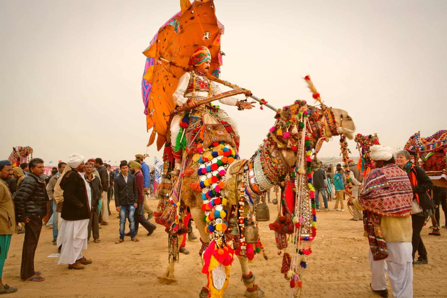 pushkar camel fair