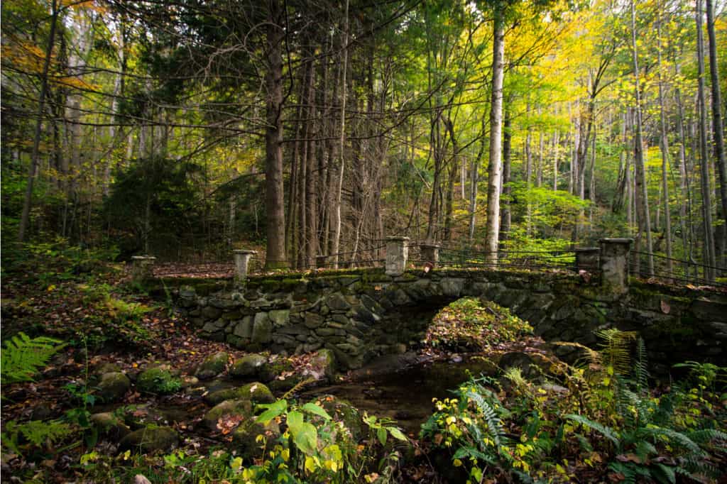 3 day backpacking trip smoky mountains