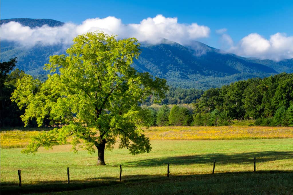 3 day backpacking trip smoky mountains