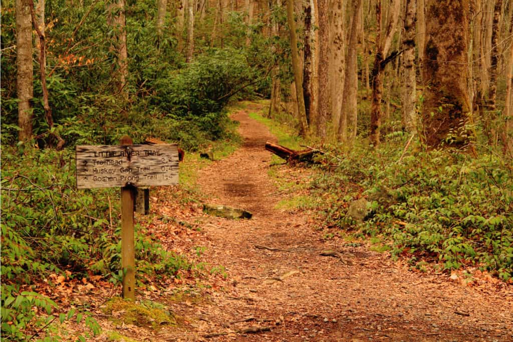 3 day backpacking trip smoky mountains