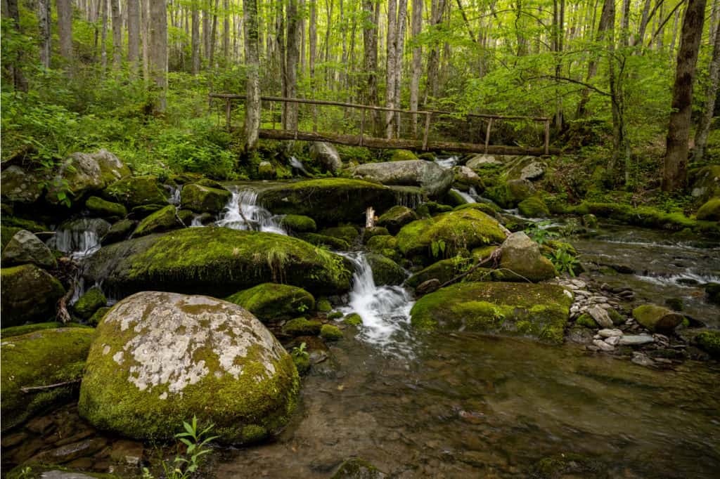 3 day backpacking trip smoky mountains