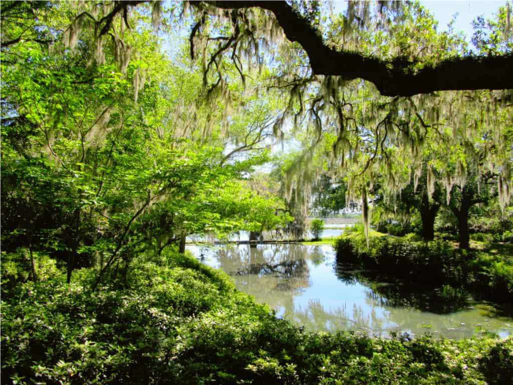 visit charleston sc in january