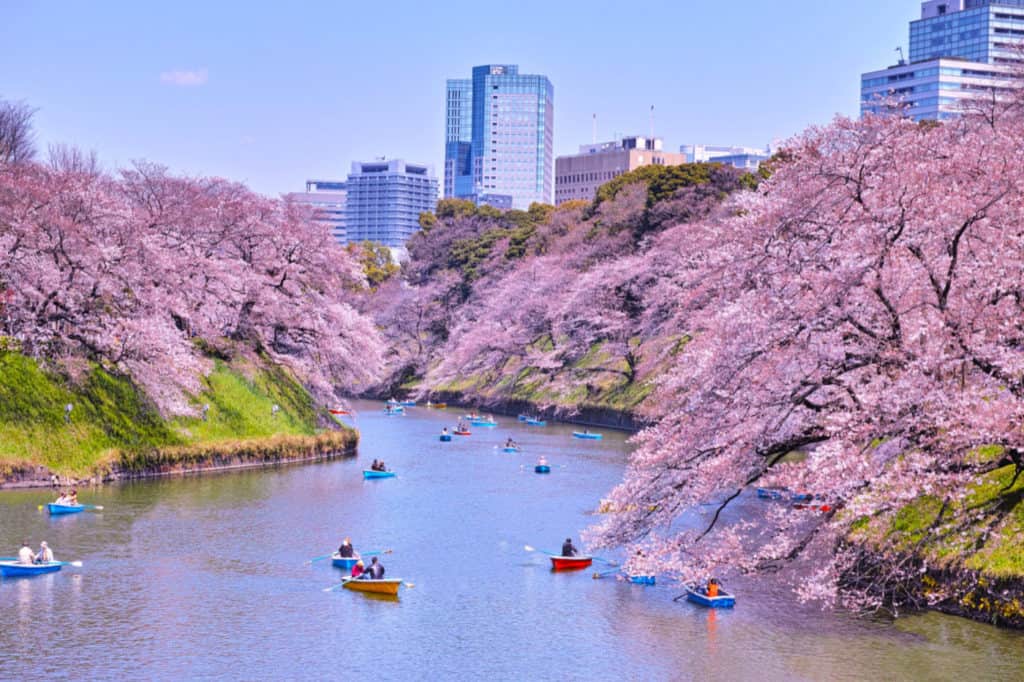 21 Spectacular Things to Do in Tokyo, Japan – Never Ending Footsteps