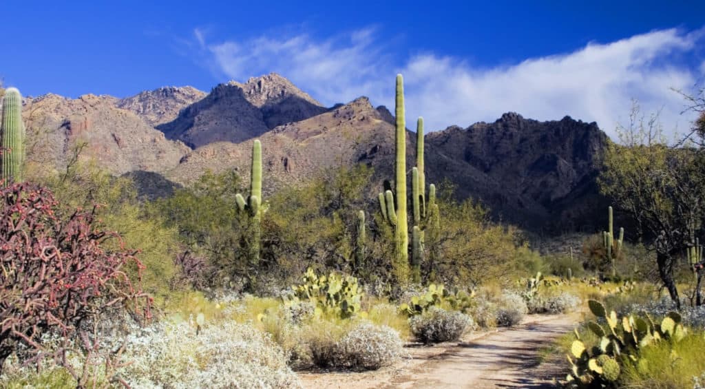 why visit tucson