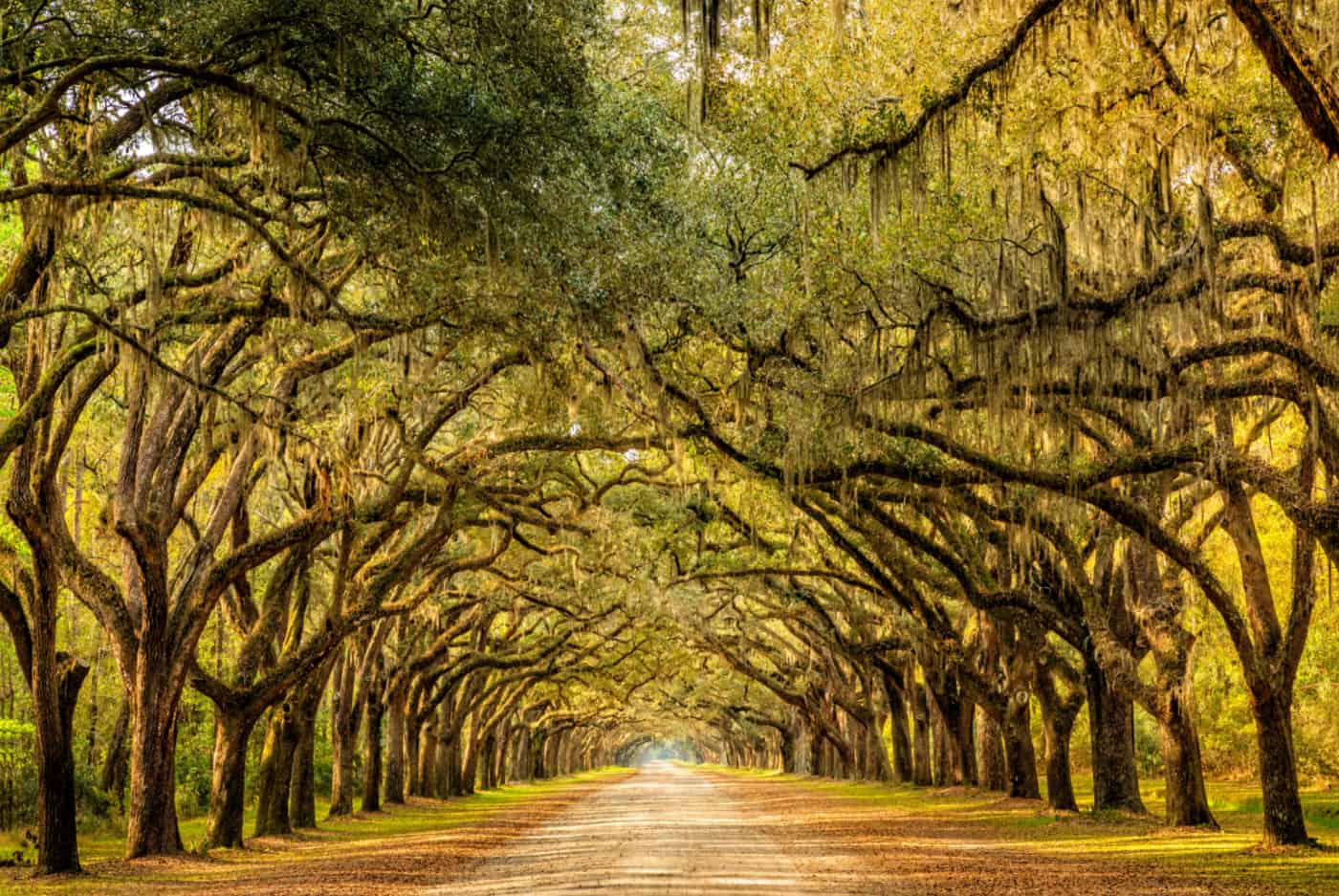 How to Spend Three Days in Savannah: An In-Depth Itinerary for 2022