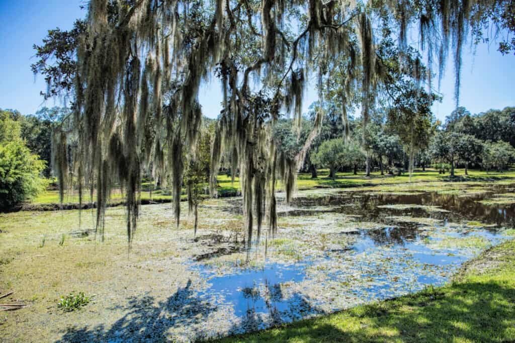 interesting places to visit in louisiana