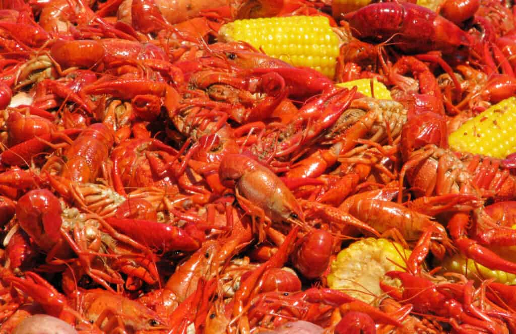 interesting places to visit in louisiana