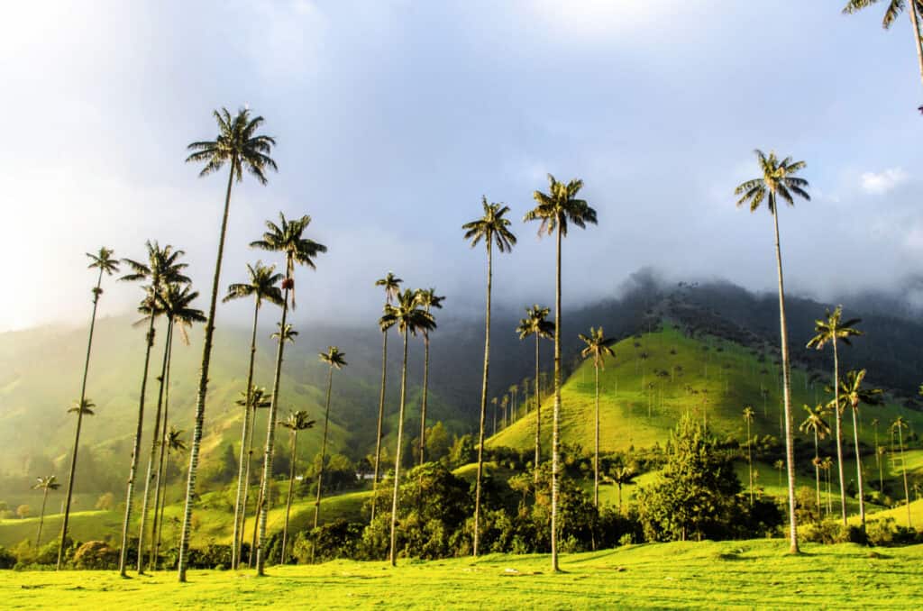 how to travel in colombia