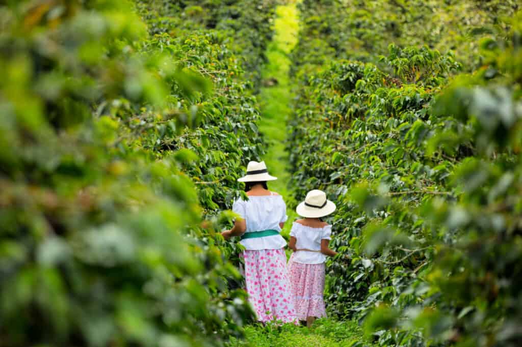 how to travel in colombia