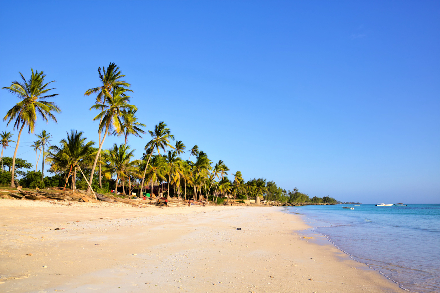 smart traveller zanzibar