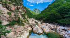 Jagged mountain peaks on the left meet dense forest on the right. In the centre, a calm turquoise river trickles past boulders and pebbles