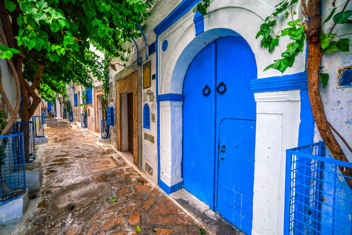 the guardian travel tunisia