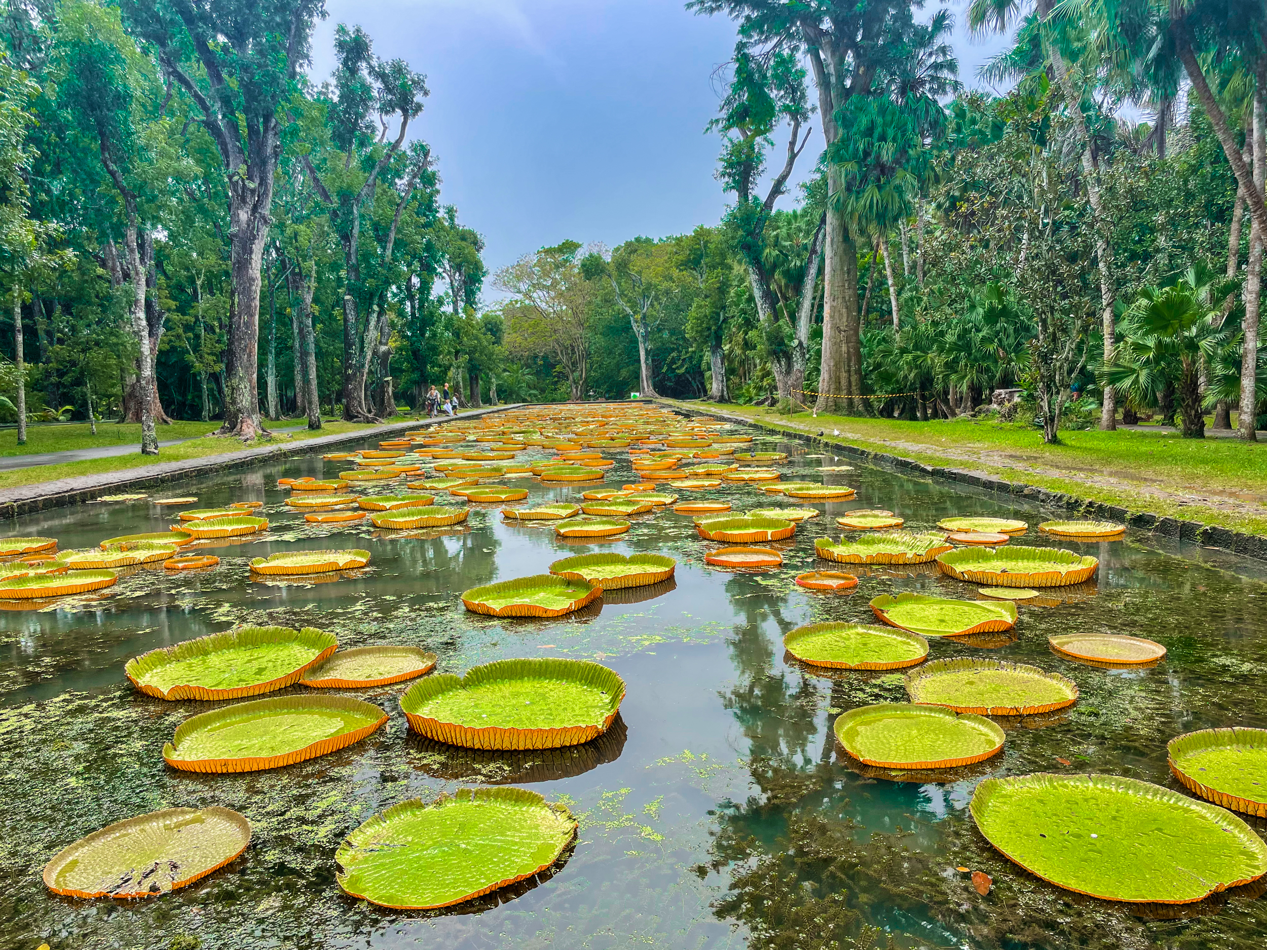 how to travel within mauritius