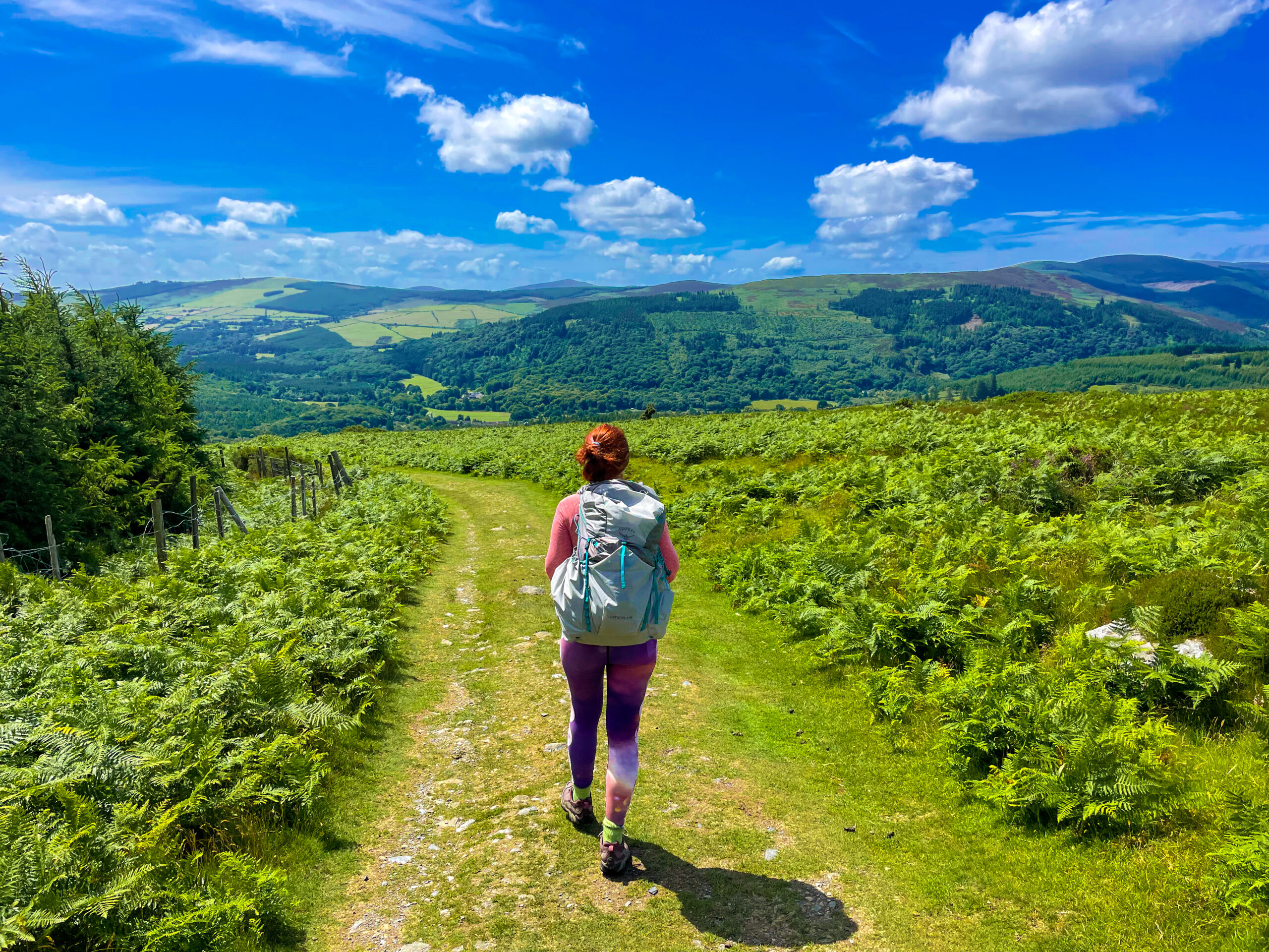 A sunny scene of Lauren walking the Wicklow Way through a sea of ferns, with hills and mountains stretching off into the distance. She's wearing vibrant leggings and carrying a full backpack.