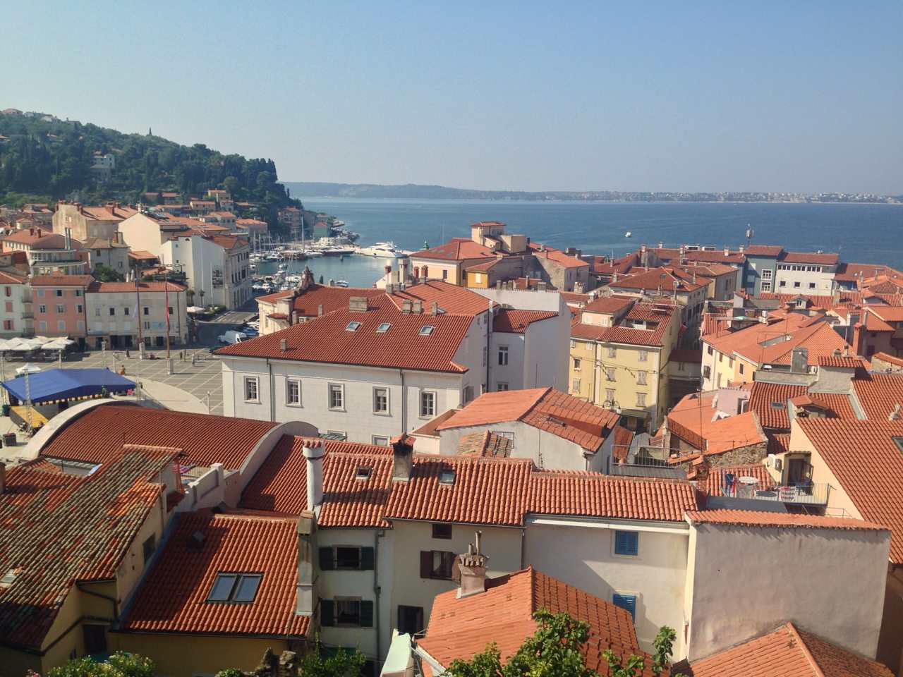 View over orange-roofed houses towards a small harbour and the ocean.